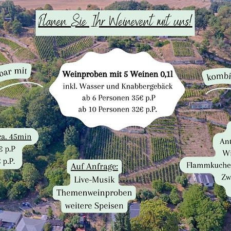 Ferienhaus Traminer Im Weinberg Freyburg Esterno foto