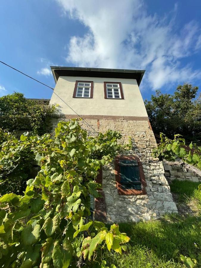 Ferienhaus Traminer Im Weinberg Freyburg Esterno foto