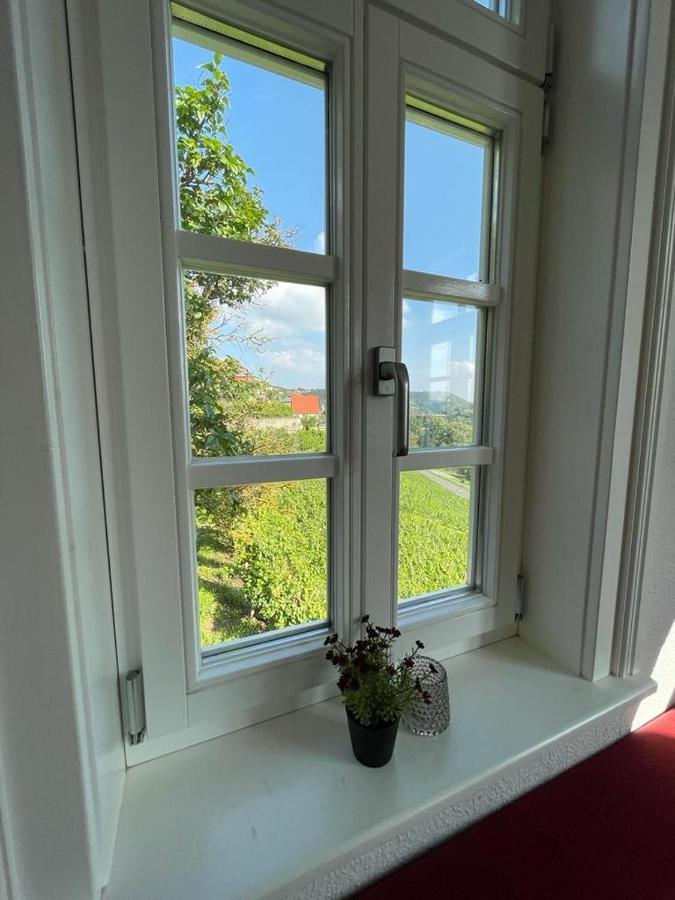 Ferienhaus Traminer Im Weinberg Freyburg Esterno foto