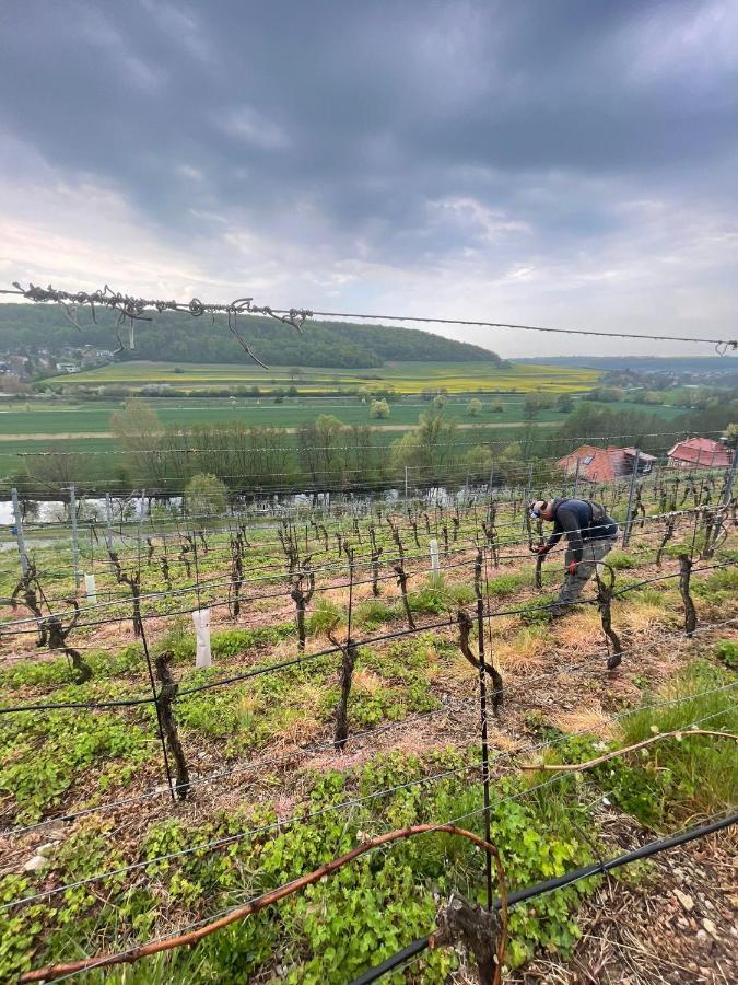 Ferienhaus Traminer Im Weinberg Freyburg Esterno foto